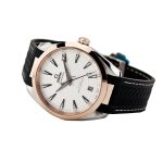 Omega Seamaster Silver Dial Replica - Image 3